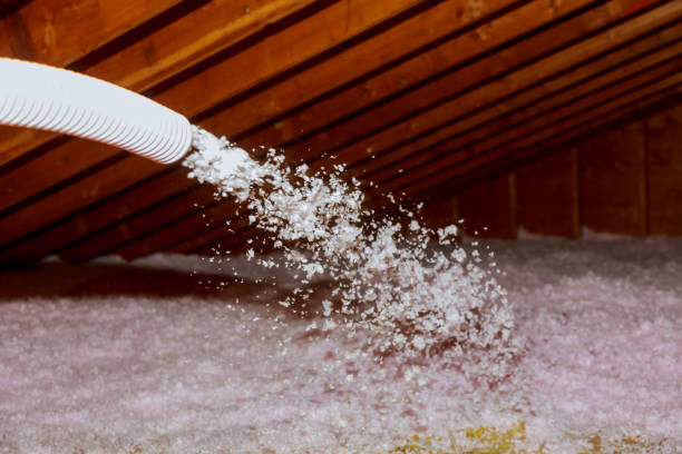 Best Spray Foam Insulation  in Wedgefield, SC