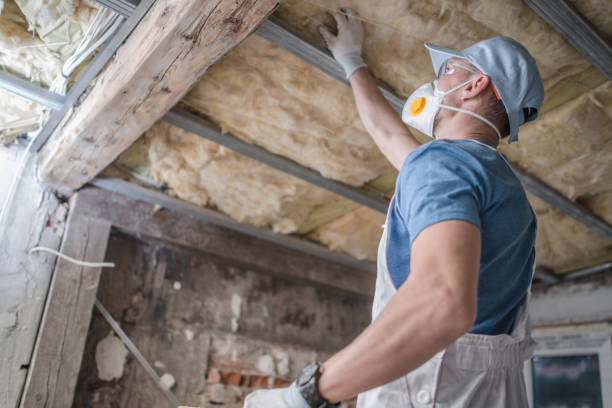 Best Home Insulation Services  in Wedgefield, SC