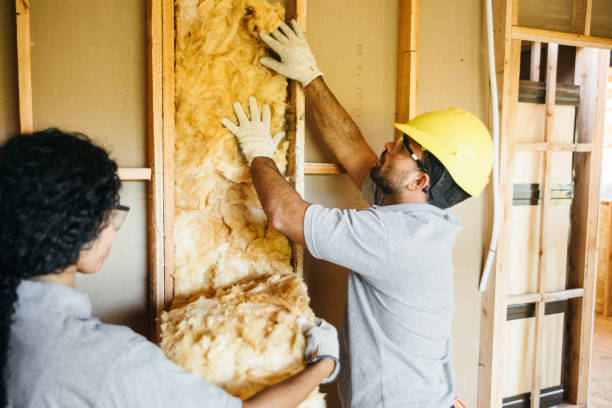 Best Insulation for Commercial Buildings  in Wedgefield, SC